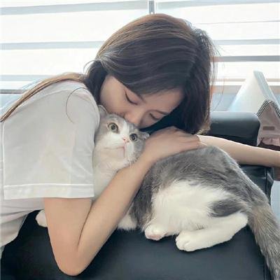 猫神八百万